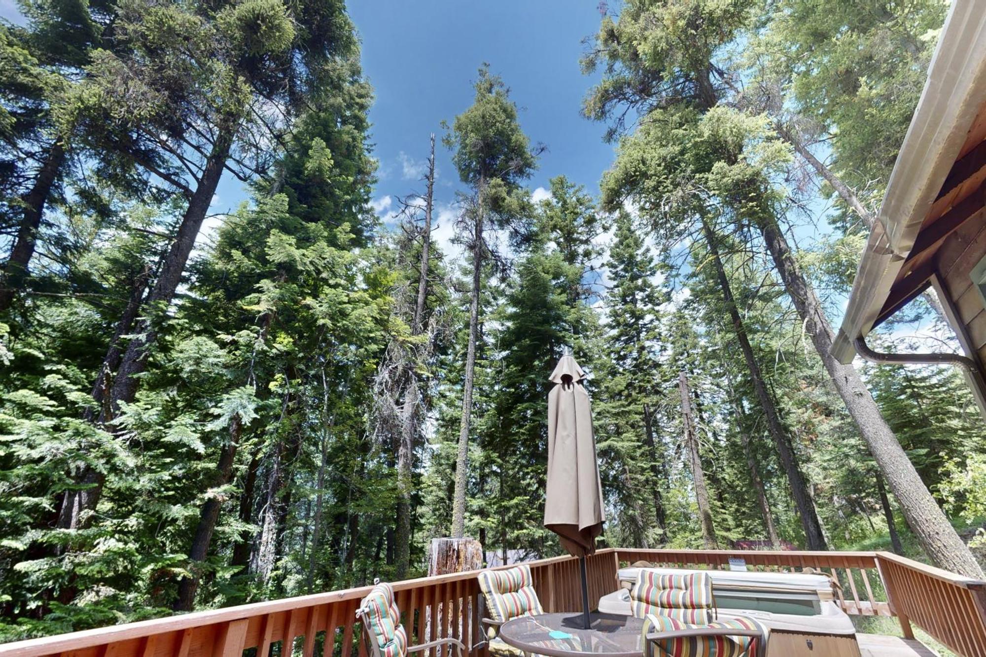 Pine Cone Cottage Joseph Εξωτερικό φωτογραφία